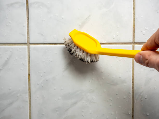Best Affordable Mold Removal  in Astor, FL