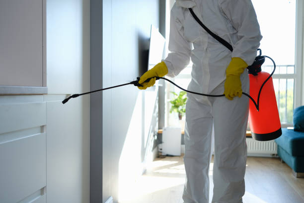 Best Attic Mold Removal  in Astor, FL